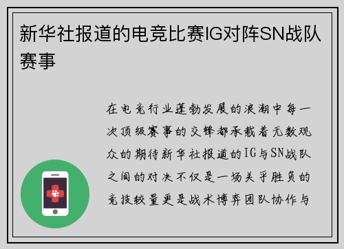 新华社报道的电竞比赛IG对阵SN战队赛事
