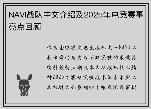 NAVI战队中文介绍及2025年电竞赛事亮点回顾